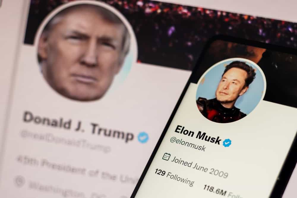 Trump and Elon