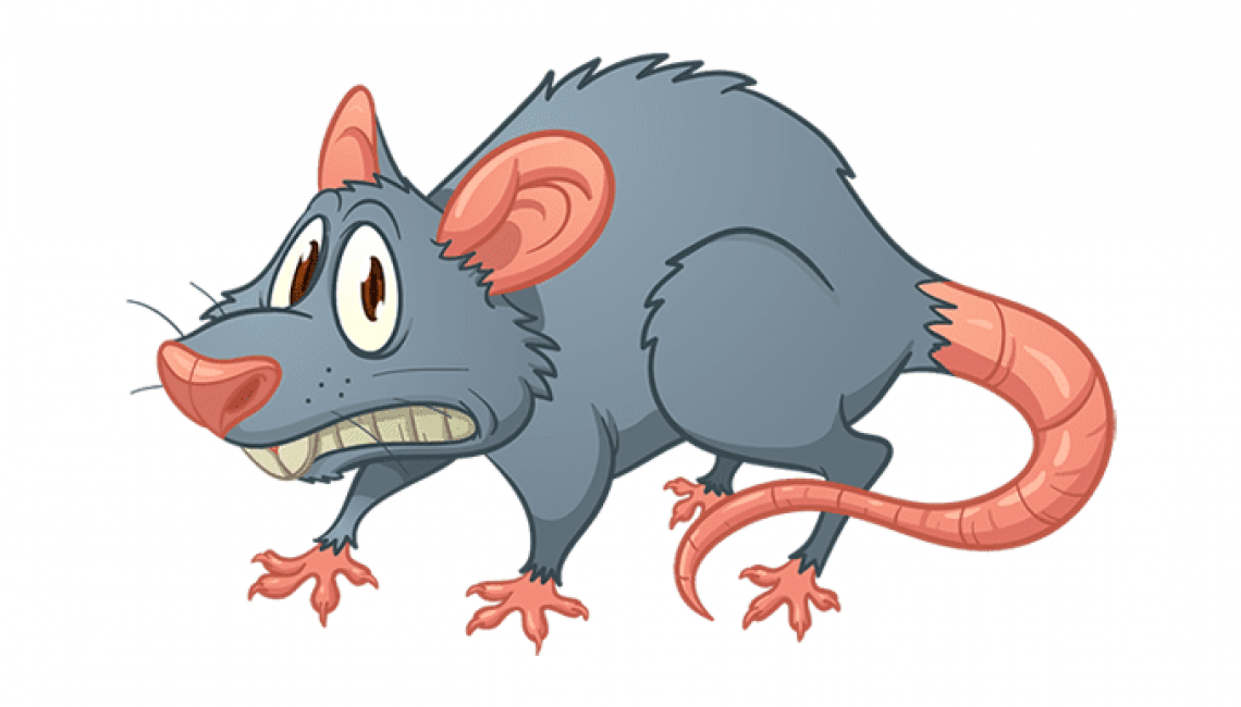 Rat vector image